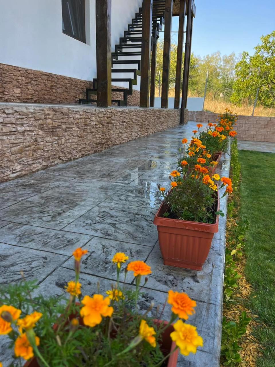 Villa Medi Boutique Sapareva Banya Exterior photo